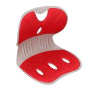 ZASCHMOY Posture Ergonomique Chaise de Correction avec Le Soutien Lombaire pour Le Bureau et la Maison, Bleu, Soulage Les Douleurs et Promouvoir Une Bonne Posture avec Un Design Innovant (Rouge)