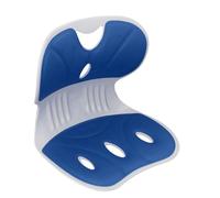 ZASCHMOY Posture Ergonomique Chaise de Correction avec Le Soutien Lombaire pour Le Bureau et la Maison, Bleu, Soulage Les Douleurs et Promouvoir Une Bonne Posture avec Un Design Innovant (Blue)