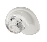 Zasdvn Coquillages de crabe en verre transparent | Habitat de crabe ermite | Habitat en verre transparent grande conque pour poissons, terrarium, reptiles, crustacés marins