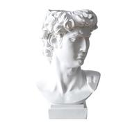Zasdvn Statue de tête de David en résine - 16 cm - Buste romain classique - Mythologie grecque - Sculpture de style romain David - Pot de pinceaux de maquillage