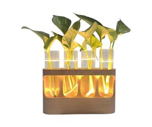 Zasdvn Vase pour La Propagation des,Terrarium avec Éclairage LED Réglable | Vase en Verre pour Culture - pour Salon Chambre et Salle de Bain Adolescents Adultes