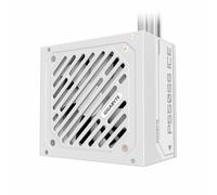 GigaByte Alimentation P550SS Ice Bloc – 80 Plus Silver, PCIe 5.0, Modulaire, ATX 3.0, Prise EU