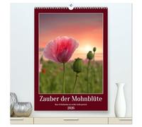 Zauber der Mohnblüte (hochwertiger Premium Wandkalender 2026 DIN A2 hoch), Kunstdruck in Hochglanz: Rosa Schlafmohn ins rechte Licht gerückt
