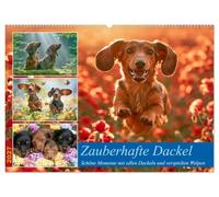 Zauberhafte Dackel (Wandkalender 2027 DIN A2 quer), CALVENDO Monatskalender: Erlebe die bezaubernde Welt der Dackel in 12 Motiven voller Lebensfreude, Eleganz und unvergesslicher Augenblicke.
