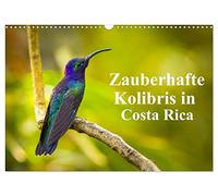 Zauberhafte Kolibris in Costa Rica (Wandkalender 2026 DIN A3 quer), CALVENDO Monatskalender: Ungefähr 52 Arten von Kolibris sind in Costa Rica heimisch, die im ganzen Land zu sehen sind.