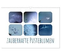 Zauberhafte Pusteblumen (Wandkalender 2026 DIN A3 quer), CALVENDO Monatskalender: Tauchen Sie ein in die zauberhafte Welt der Pusteblumen