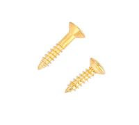 ZAWELIYO Ensemble de Retenue D'arbre à Cordes, Alliage Cuivre-zinc de qualité Supérieure, Guide Correctement les Cordes de Guitare pour Guitares électriques, 2 Pièces 5 Mm et 7,8 Mm, Durable et (Or)