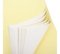 ZAWELIYO Rouleau de Papier Propre à Haute viscosité de 50 Pages pour un Dépoussiérage Efficace dans les Industries des Semi-conducteurs et de L'alimentation