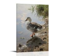 ZBBZJYHH Décoration murale artistique moderne à suspendre avec un canard domestique sur le rivage, pieds palmés sur la boue humide, 20 x 30 cm