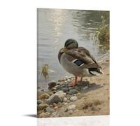 ZBBZJYHH Poster mural artistique moderne à suspendre représentant un canard se reposant sur le rivage, tête cachée sous son aile, 60 x 90 cm