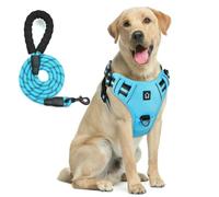 ZBDP Combinaison harnais pour chien, anti-fuite, anti-traction, laisse de 1,5 m, réfléchissant, réglable, doux et rembourré