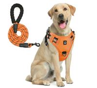 ZBDP Combinaison harnais pour chien, anti-fuite, anti-traction, laisse de 1,5 m, réfléchissant, réglable, doux et rembourré