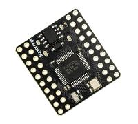 ZBIianxer Module Compact de Carte contrôleur de Type C avec Boutons de démarrage de réinitialisation pour la Pratique du développement de prototypes