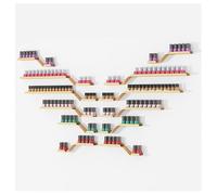 ZBJDX Ensemble De 12 éTagèRes Murales en MéTal pour Vernis à Ongles, PréSentoir Polyvalent pour Petits Espaces, Compatible avec Les Agencements DIY,d'or