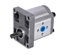 ZBJGBUIA Ensemble de Pompe à Engrenages hydrauliques CBN/CBT-F/G/E 304 306 310 314 316 320 325 Petite tête Haute Pression Form-02(Cbt-cbn-g316(25mpa),Form-02)