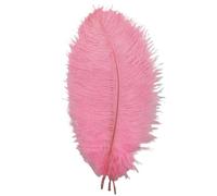 ZBORAVPIX Plumes colorées pour Loisirs créatifs, Plumes Artisanales, Lot de 50 ou 100 pièces, Multicolores, 25-30 cm, for Loisirs créatifs, Mariage, Carnaval, décoration(Color 6,50 pcs)