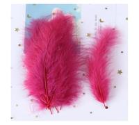 ZBORAVPIX Plumes colorées pour Loisirs créatifs, Plumes Artisanales Multicolores de 10 à 15 cm, Lot de 50/100/200 pièces(Color 4,200pcs)