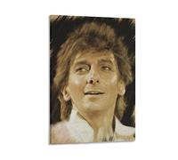 ZBYYFC Affiches et impressions 30 * 50cm Senza Cornice Barry Manilow Music Singer poster e stampe d'arte murale arredamento moderno per la casa da letto di famiglia