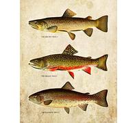 ZBYYFC Affiches et impressions 60 * 90cm Senza Cornice Immagine da parete con stampa artistica di pesca a mosca alla trota