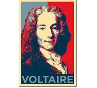 ZBYYFC Peintures Sur Toile 40 * 60cm Senza Cornice Voltaire Francois-Marie Arouet Poster e stampe d'arte murale Arredamento moderno per la casa per camera da letto familiare