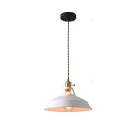 ZBZFGE Blue Retro Style Pendant Light for Living and Dining Room