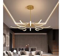 ZBZFGE Chandelier Lumières Modernes compatibles avec Salle d'étude Chambre Coucher Vivant étude de Plafond réglable à LED Moderne, Gardez Les Yeux, Suspendu la lumière