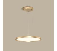 ZBZFGE Disc Light Chandelier Metal Hanging Fixture with Acrylic Lampshade Contemporary Aluminum Ceiling Pendant Lamp for Dining Meeting Room (Size : 40cm)