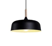 ZBZFGE Élégant métal Pendentif léger Farm-Circulaire suspensibulaire Semi-Circulaire Lampe Plafond Industriel Compatible avec Le Restaurant de Chambre à Coucher, Lig Suspendu