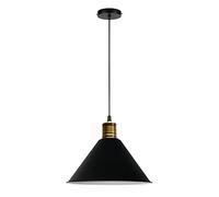 ZBZFGE Home Decorative Craft Chandelier Nordic Style Industrial Pendant Lights Adjustable Ceiling Lamp with Base (Color Agray, Size : 40cm)
