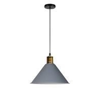 ZBZFGE Home Decorative Craft Chandelier Nordic Style Industrial Pendant Lights Adjustable Ceiling Lamp with Base (Color Agray, Size : 40cm)