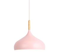 ZBZFGE Nordic Head Pendant Light - Industrial Style Decorative Fixture (Grey, 30cm)
