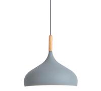 ZBZFGE Nordic Head - Restaurant Pendant Light Shade Industrial Style Decorative Fixture Commercial Personality Chandelier(Grey,30cm)