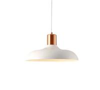 ZBZFGE Nordic Industrial Style Pendant Light with Colorful Dome Lampshade, Adjustable Ceiling Suspension for Kitchen Island, Bar, Restaurant, Living Room (40cm)