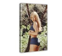 ZCDTE Poster Sabrina sur toile de charpentier - Décoration de chambre à coucher, de paysage sportif - Décoration de chambre à coucher, bureau, chambre, cadeau - 20 x 30 cm