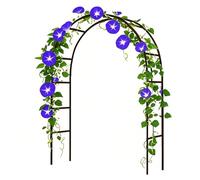 ZCFLWR Arche de Jardin en métal avec Cadre en Acier, 1,40 m, 1,8 m, 2,40 m, 3 m de Large, Treillis en Fer pour Mariage, glycine grimpante, décoration de fête (Noir, l 2,0 x H 2,30 m)