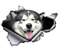 ZCHZCS 13 Cm X 9.3 Cm 1 Pièces Autocollant De Voiture Déchiré Malamute Chien De Compagnie Décoration De Voiture Décalcomanie en Métal Déchiré Style De Voiture Réfléchissant Animal Drôle