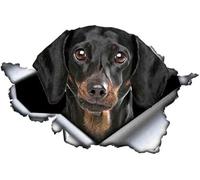 ZCHZCS 13 Cm X 9 Cm 3D Tan Teckel Animal Voiture Autocollant Déchiré Métal Autocollant Réfléchissant Imperméable Voiture Style Animal Chien Autocollant