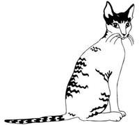 ZCHZCS Autocollant De Voiture 14.1 * 13,4 Cm Cornish Rex Cat Vinyl Decal Car Truckrs Stickers Cool Popular Animal Car Sticker