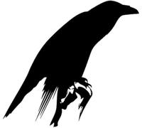 ZCHZCS Autocollant De Voiture 15.5CM X 14.3CM, Plumes D'oiseau De Corbeau Amusant, Décoration d'ailes De Bec, Autocollant en Vinyle Noir/Argent, Accessoires De Voiture