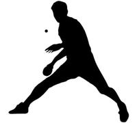 ZCHZCS Car Autocollant 13,4 * 13,5 Cm Fode Belle Table Tennis Sport Autocollants Modèles Decor Model Modeling Stickers Vinyle