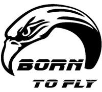 ZCHZCS Car Autocollant 15,5 Cm * 12,8 Cm Born to Fly Eagle Sport Vinyl Fashion Decal Car Autocollant Noir/Silver