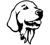 ZCHZCS Car Autocollant Chien Personnalisé 21cm （8,6 Pouces） Golden Retriever Head Portrait Dog Pet Vinyl Sticker Window Decoration Decoration Toys Sticker (DEF1M111111111111111111111111111116)