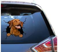 ZCHZCS Vizsla Window Stickers, Vizsla Decals, Car, Funny Memes, Vinyl Glass Stickers for Teens, Love Vynil Packs Atickers
