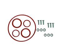 ZCLYHT Kit de conversion de joint de pompe à eau pour Spa Lay Z pour SaluSpa pour pompe à eau Coleman Seal Rebuild Kit de joints toriques #P4071 58113 E02 Pompe à eau Hot Tub Pompe à eau Seal avec vis