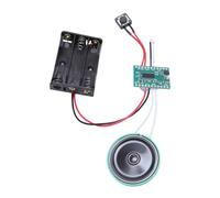 ZDETGU Cartes de Vœux Enregistrables Module Vocal Chip Enregistreur pour Le Discours Musical 240 Secondes