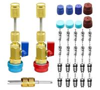 ZDETGU Ensemble d'Outils d'installation de Retrait Rapide de Valve R134A, Outils de Retrait de Valve Haute/Basse Pression avec Noyaux de R134A et 5V1, Port de Service AC et Outil de Tige à Double