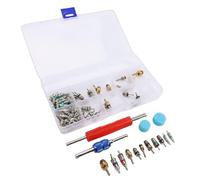 ZDETGU Kit de 104 Pièces pour Obus de Valve de Climatisation Automobile, Comprenant Un Outil de Démontage et des Capuchons Anti-poussière. Idéal pour L'entretien de la Climatisation