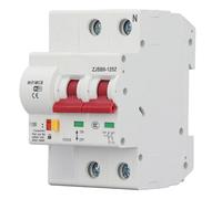 ZDETGU Smart Circuit Breaker PA66 WiFi BT App Circuit Breaker pour 2P 100A 110V (220V)