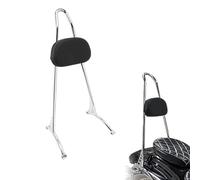 ZDJKI Dossier De Passager Arrière Sissy Bar, Coussin De Dossier De Siège pour H&Arley Sportster Forty Eight XL1200X 2010 2011 2012 2013 2014 2015 2016 2017 2018 2019 2020