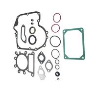 ZDJKI Kit de Joints Moteur pour Briggs & pour Stratton 796181, remplace Le 697151.